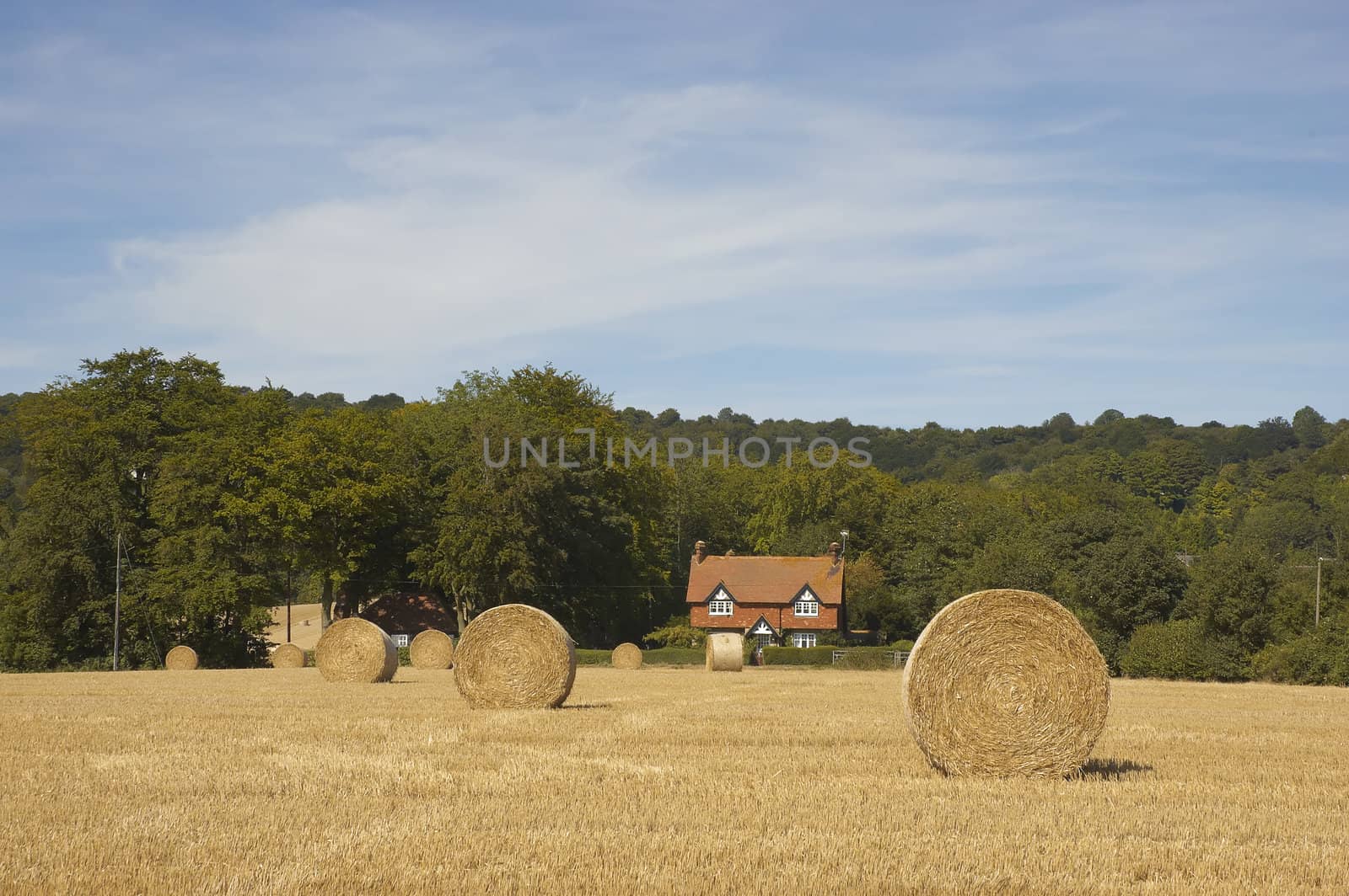 summer landscape with hay bales and deep blue skyscape