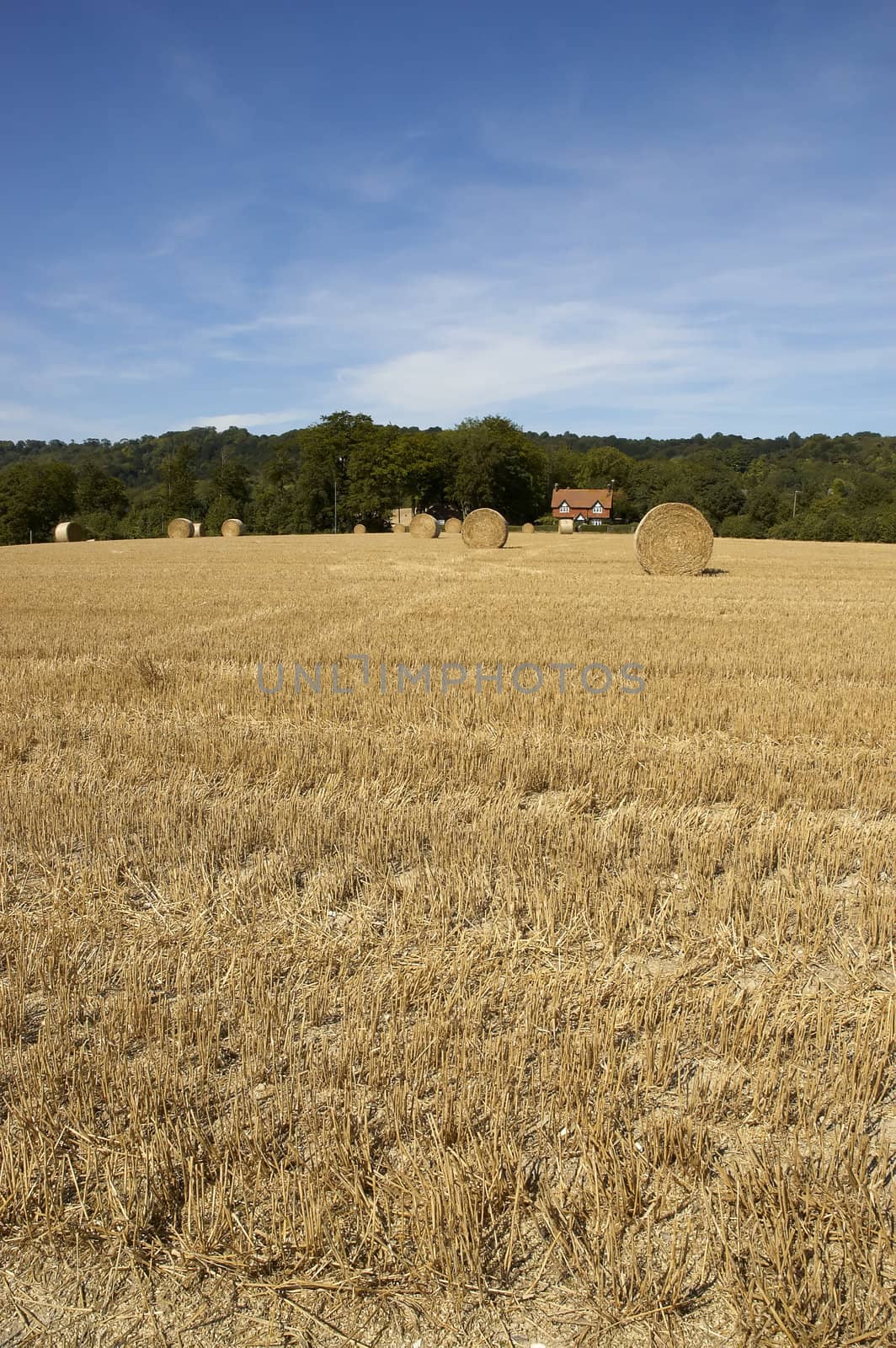 summer landscape with hay bales and deep blue skyscape