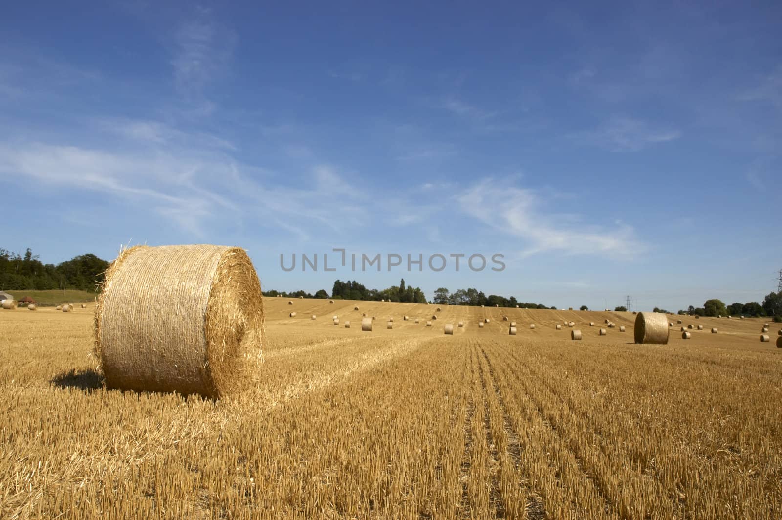 summer landscape with hay bales and deep blue skyscape