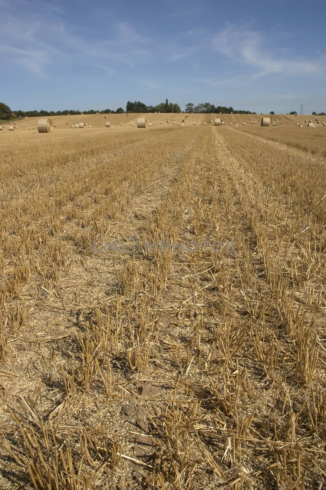 summer landscape with hay bales and deep blue skyscape