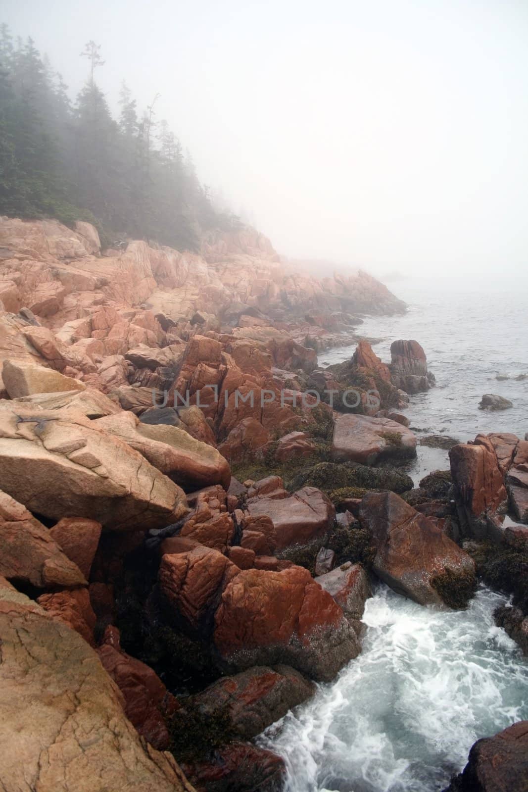 Rocky Coast in fog by mahnken