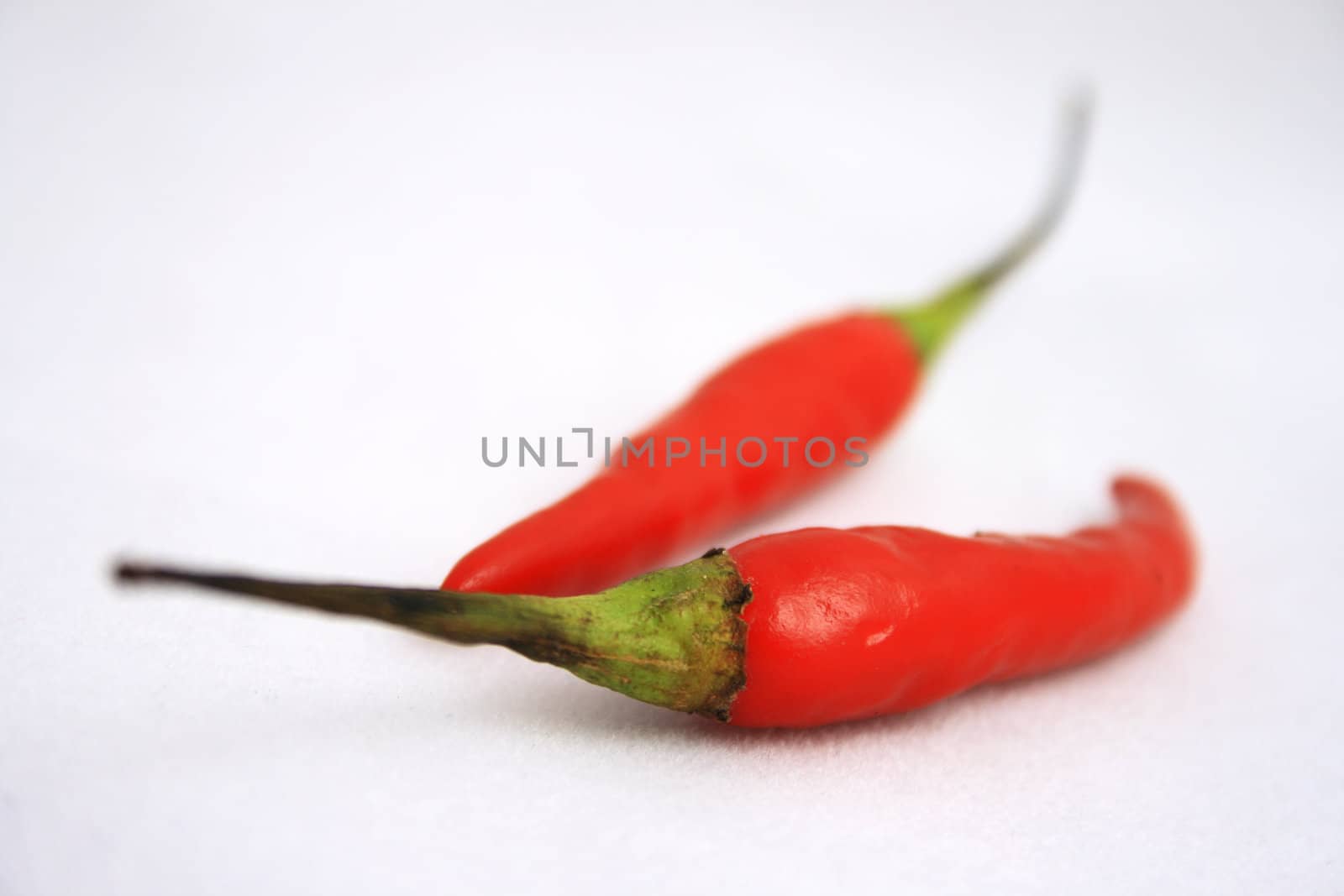 Close-up of two little red peppers on a light background