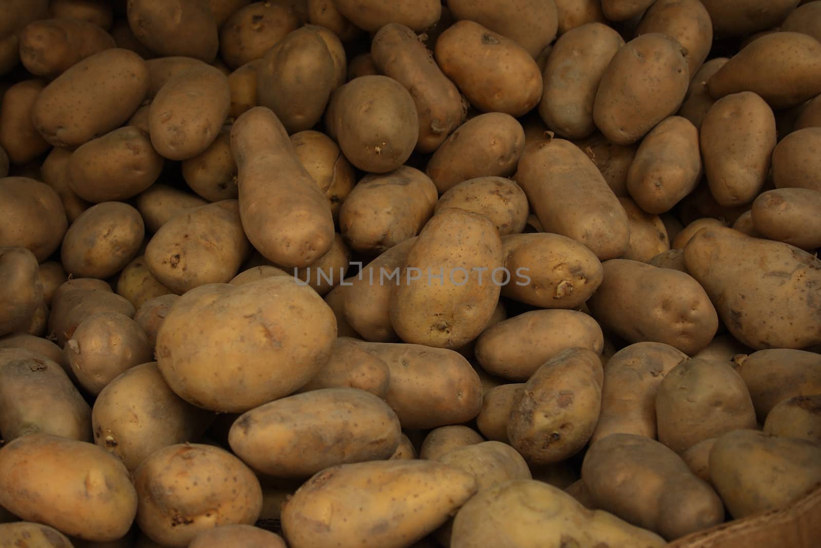 A lot of potatos form up a background.