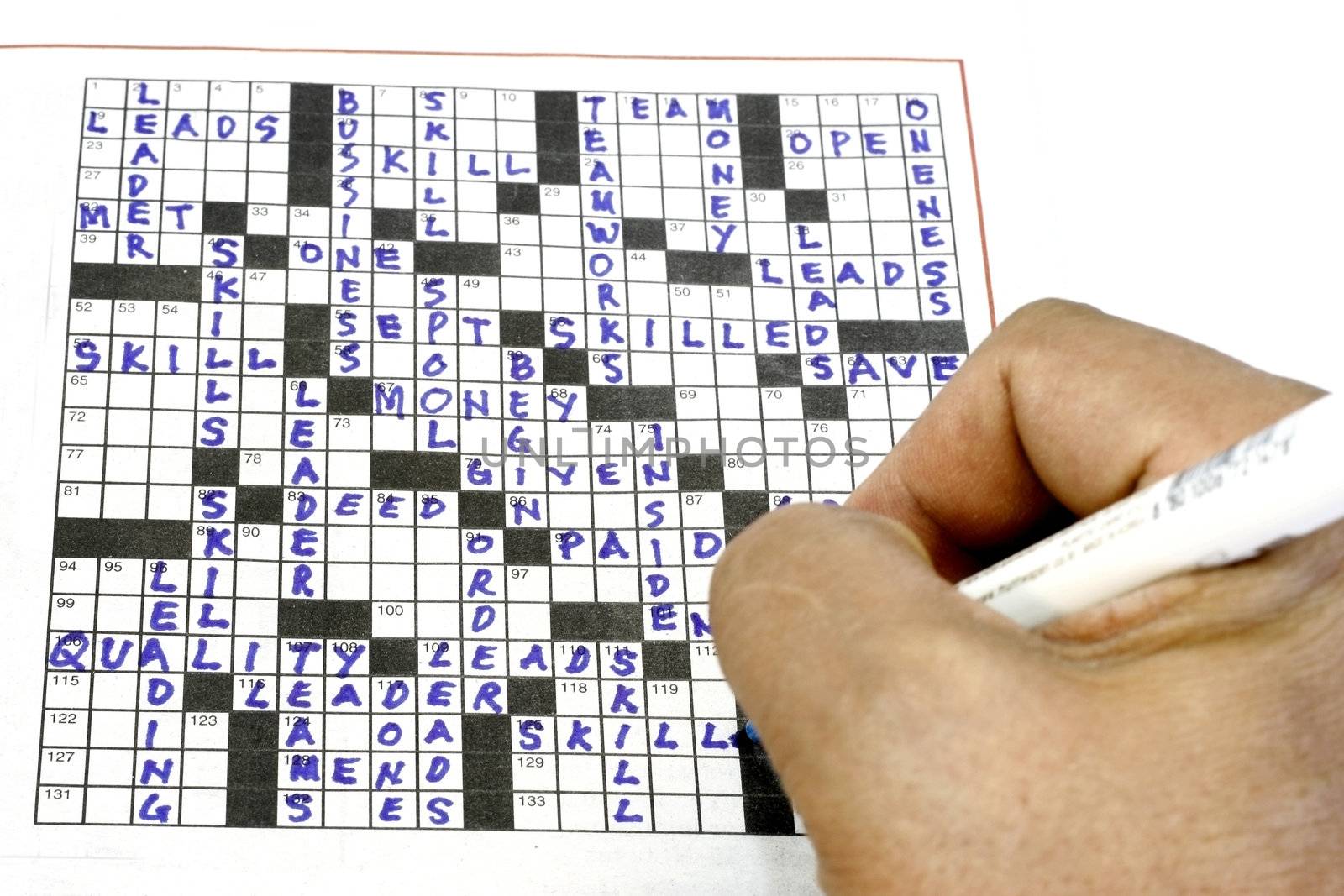Crossword Puzzle by sacatani