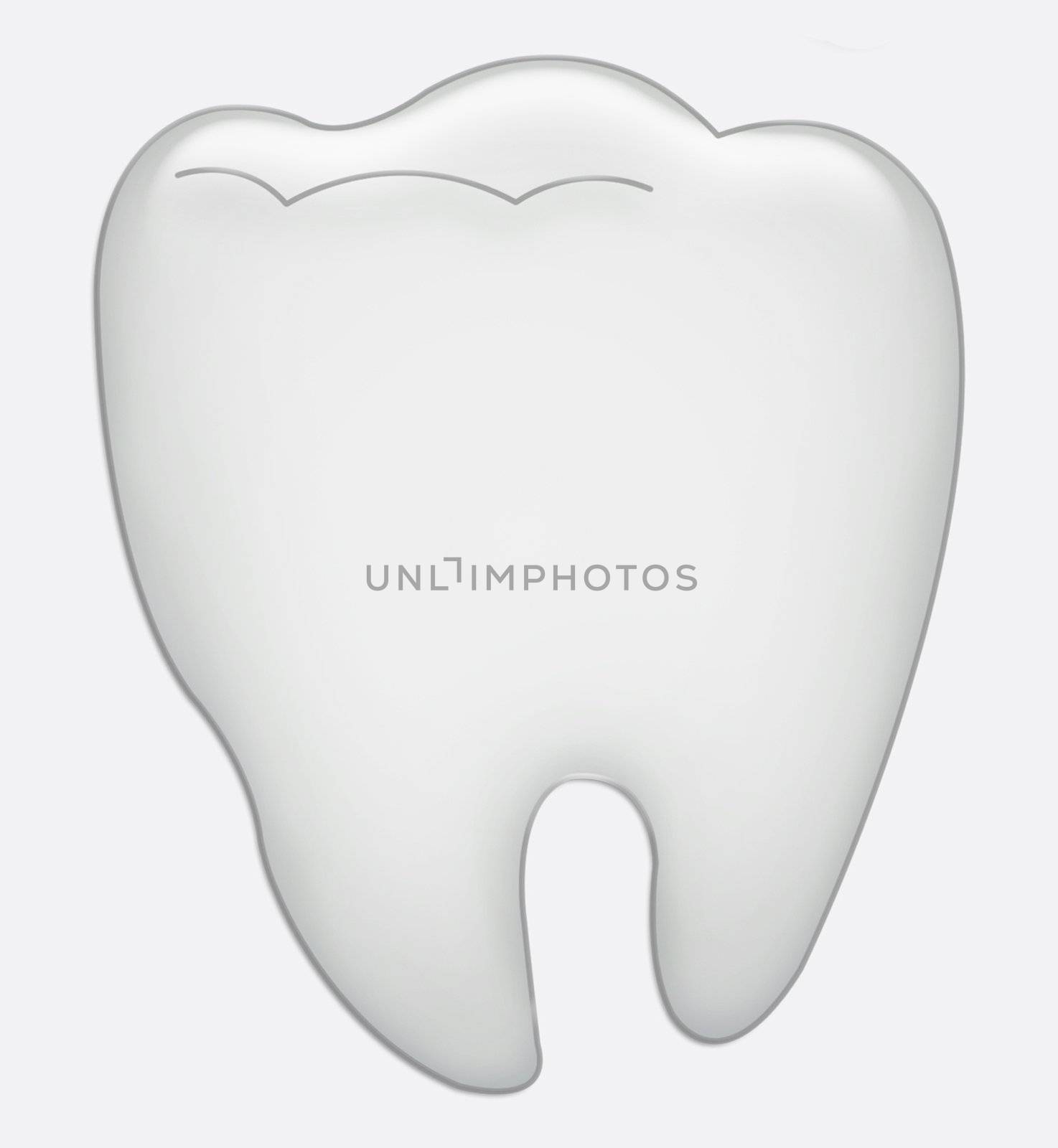 white tooth on white background
