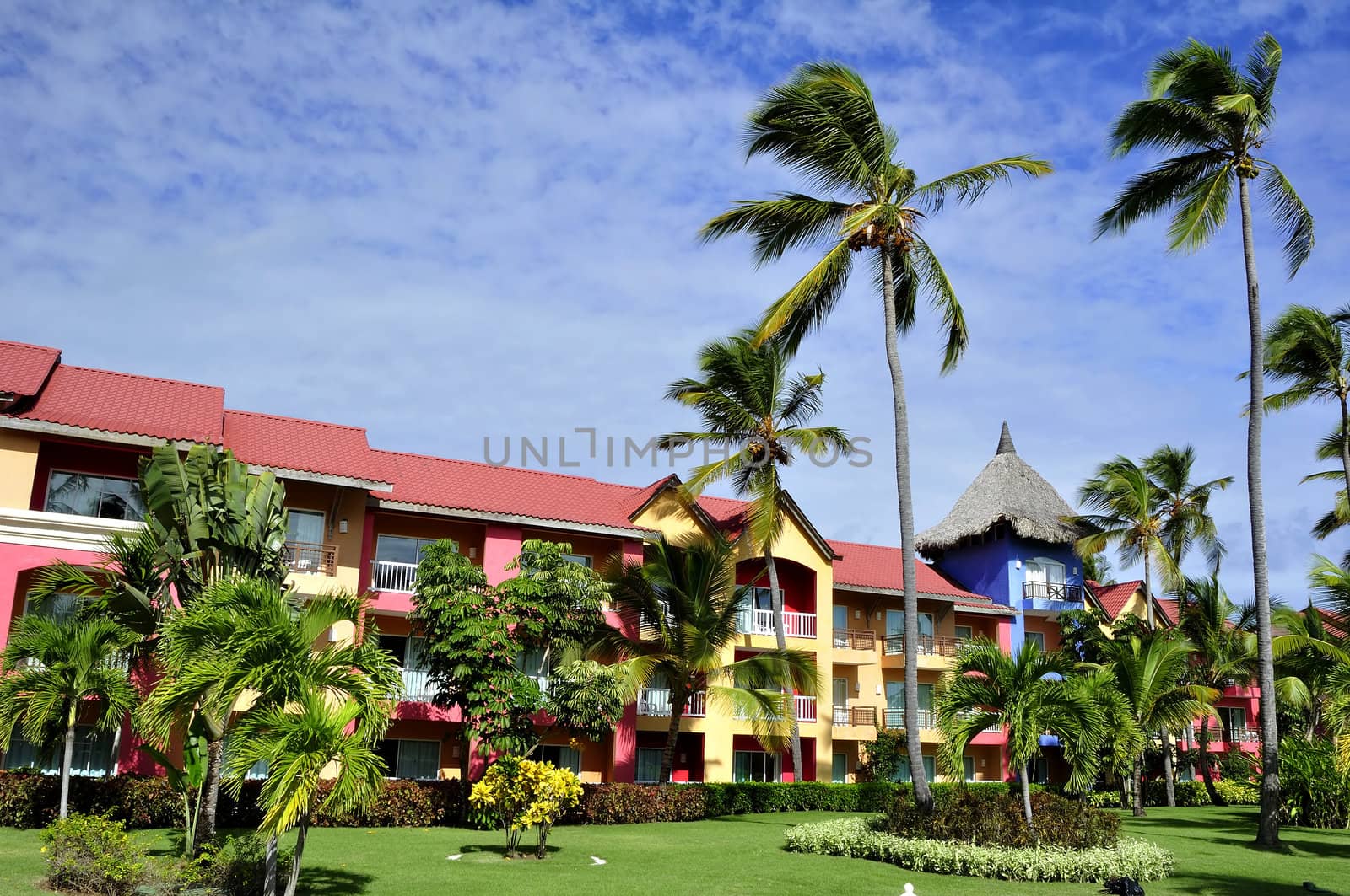 Palm trees surrounding a tropical resort in Dominican Republic.