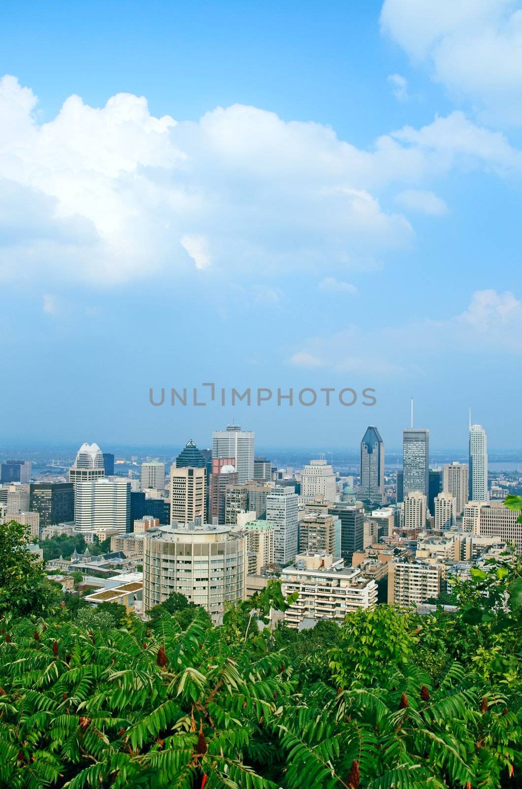 View over Montreal downtown by anikasalsera