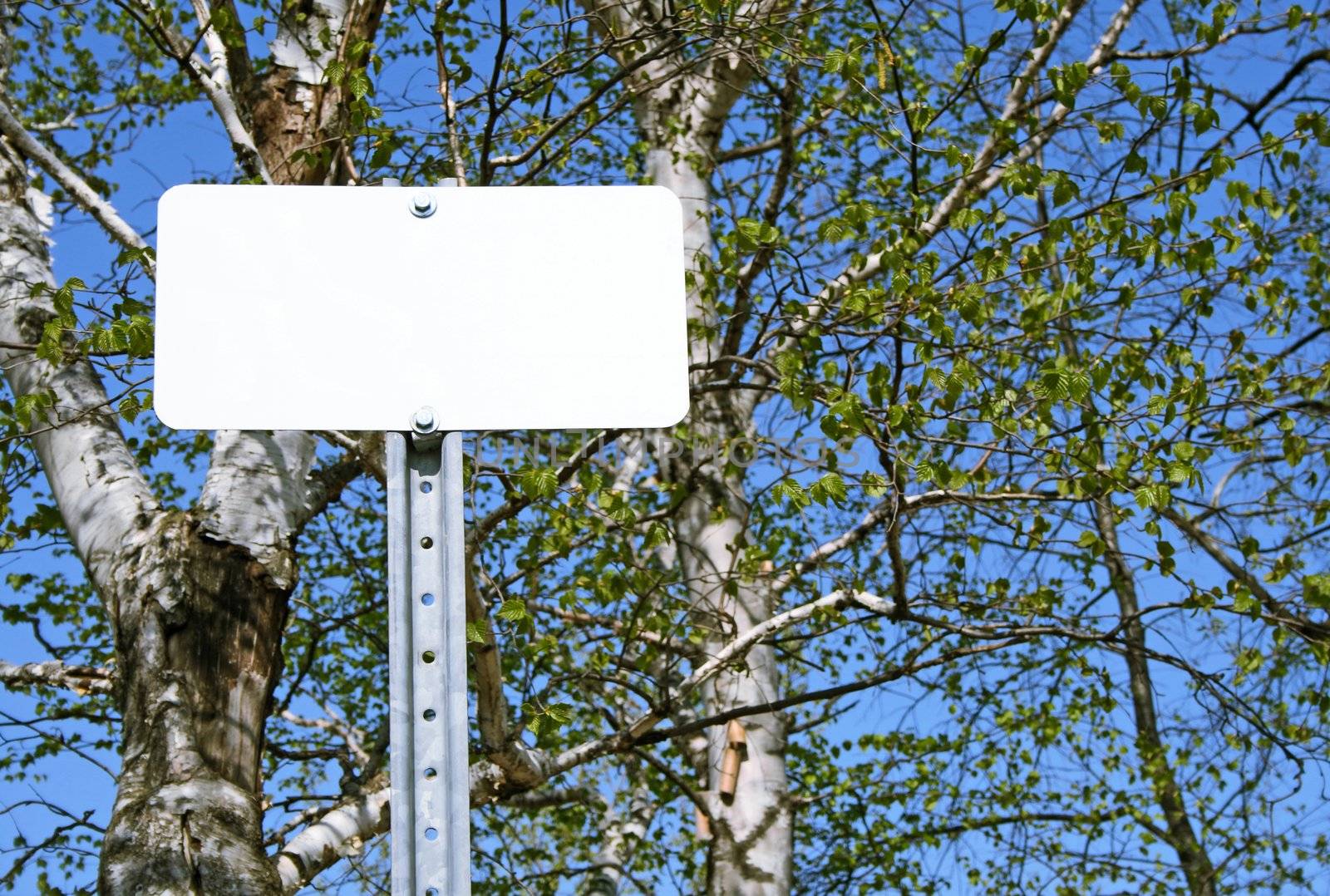 Blank sign with copy space in spring forest.
