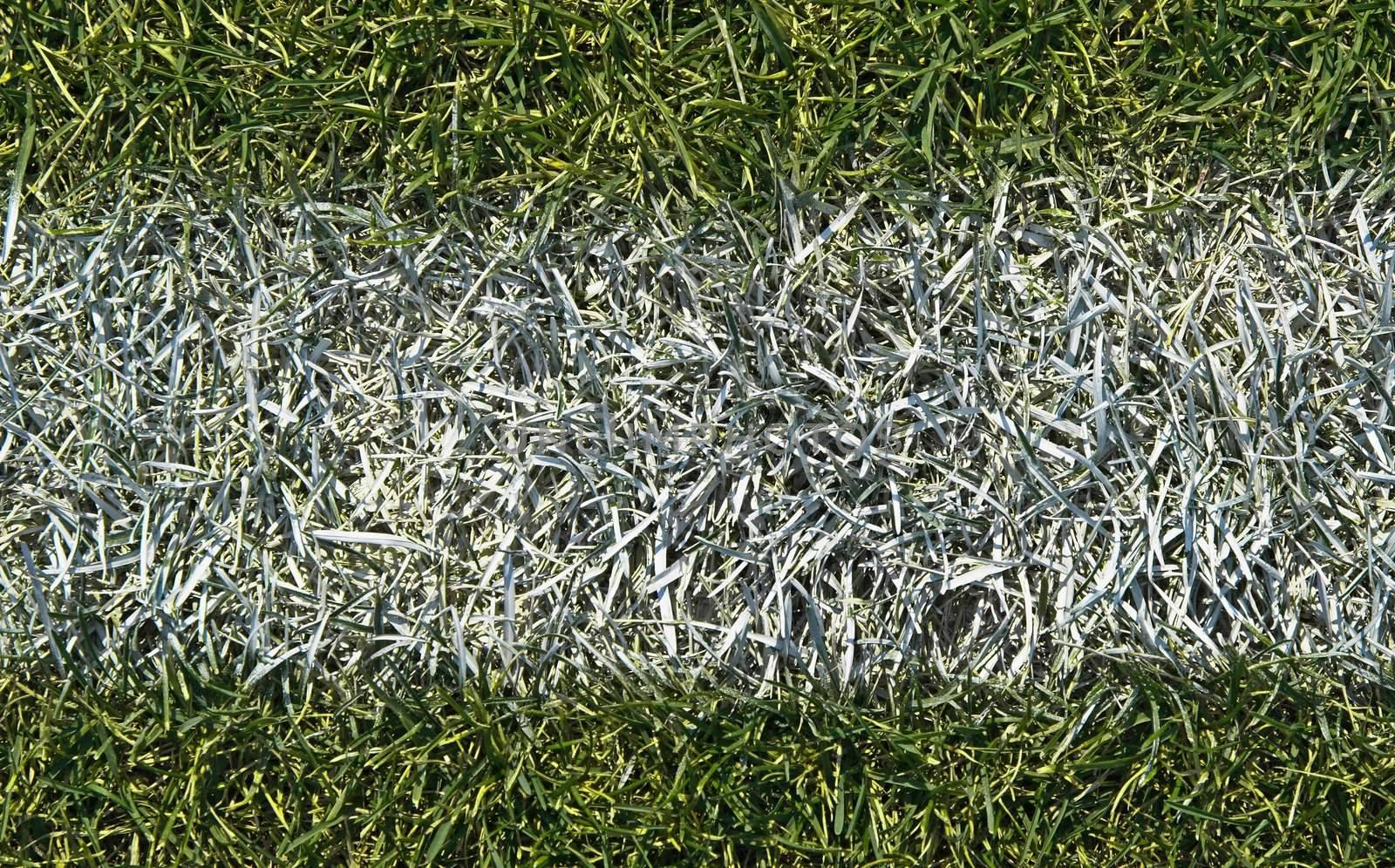 Boundary line of a playing field closeup by anikasalsera