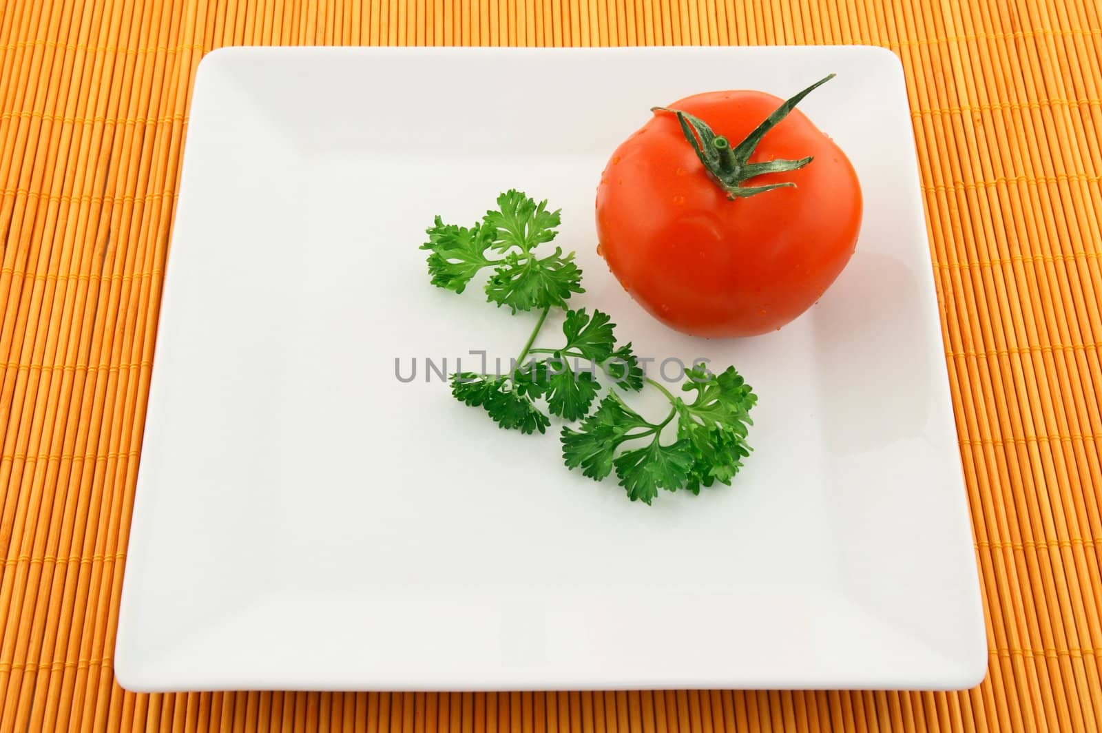 Tomato and parsley on a white square plate.