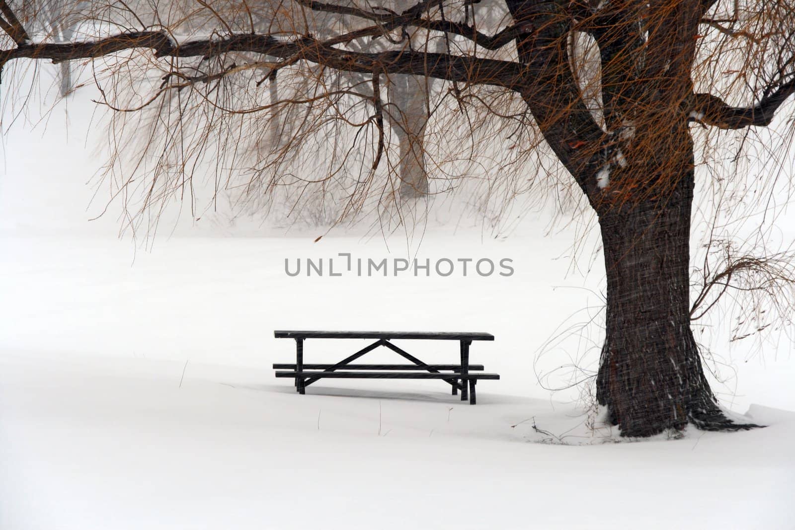 Picnic table in snow under a tree during winter blizzard.