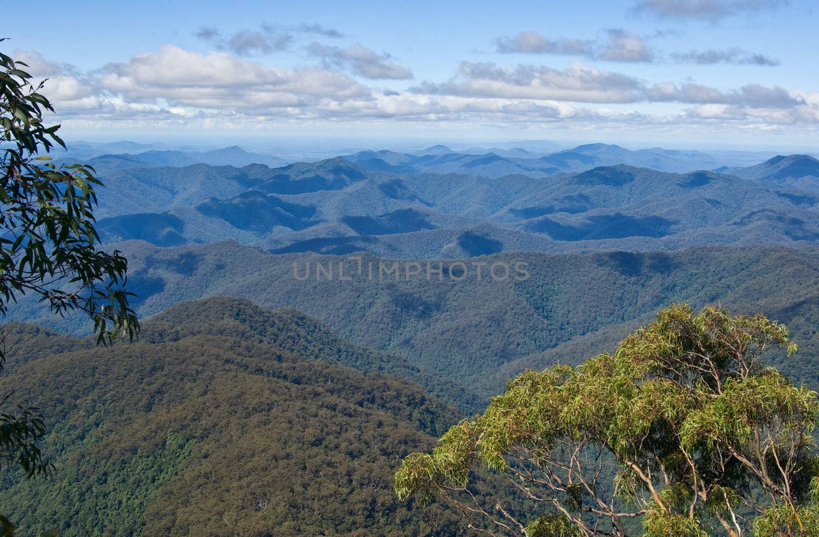 great image looking of the forested mountains 