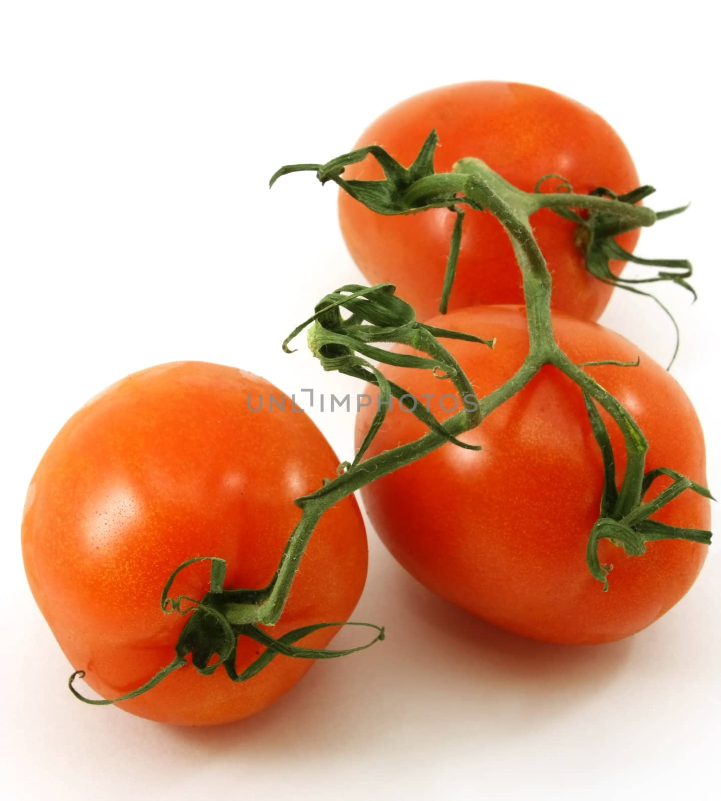 Fresh, ripe organic tomatoes on the vine by jayvivid