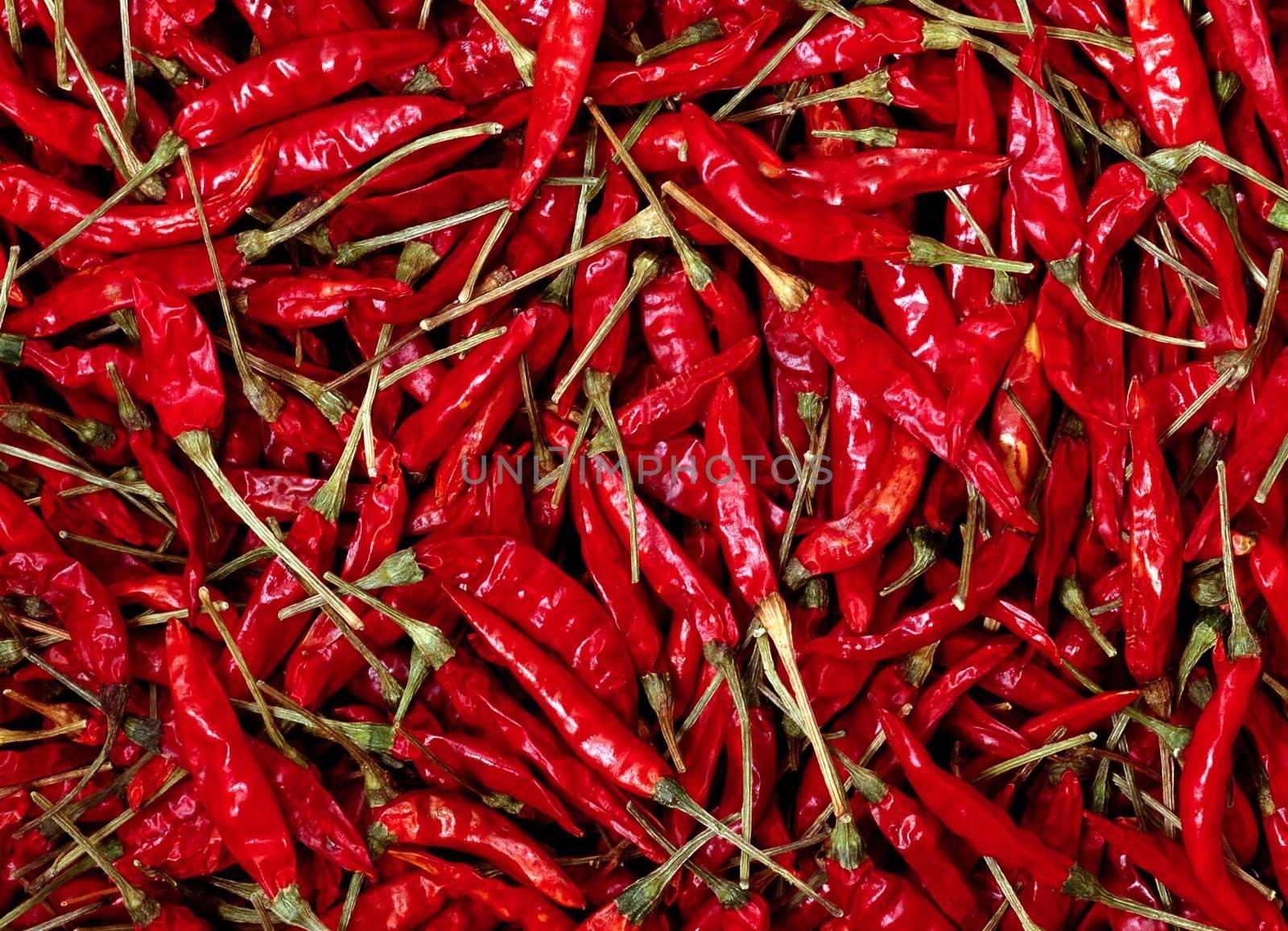 red chillies background