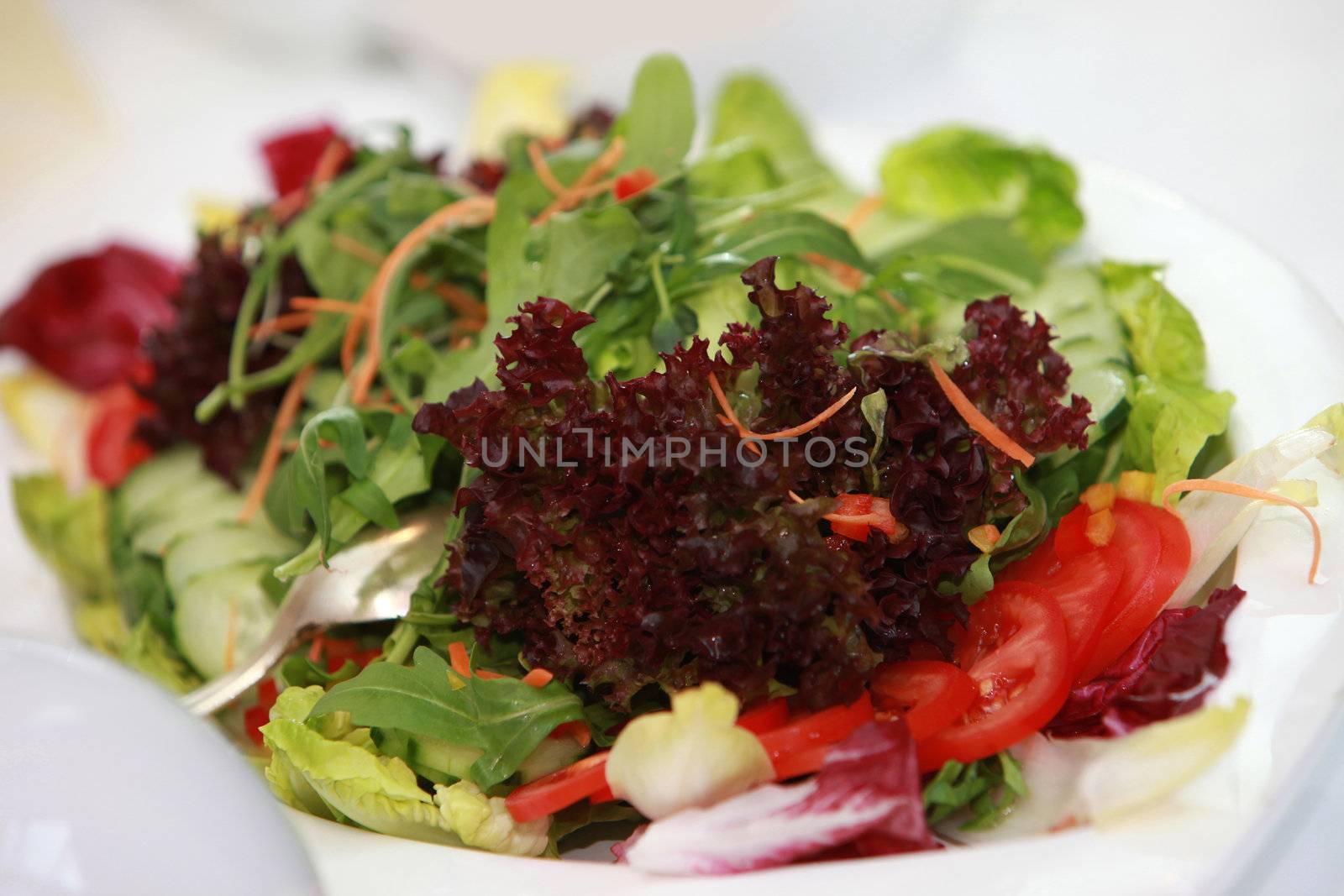 fresh mixed salad with tomatoes