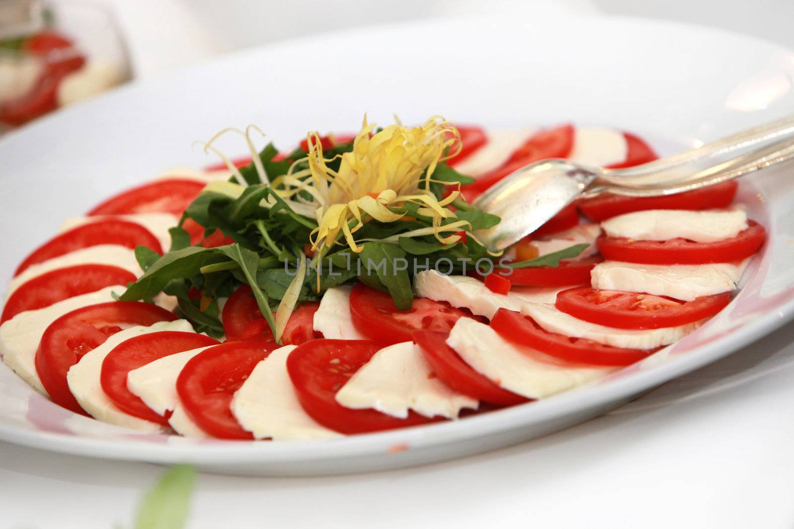 fresh salad with tomatoes and mozarella