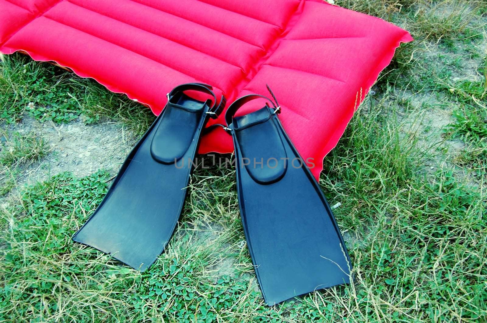 pair of black swimfins and red mattrass on green