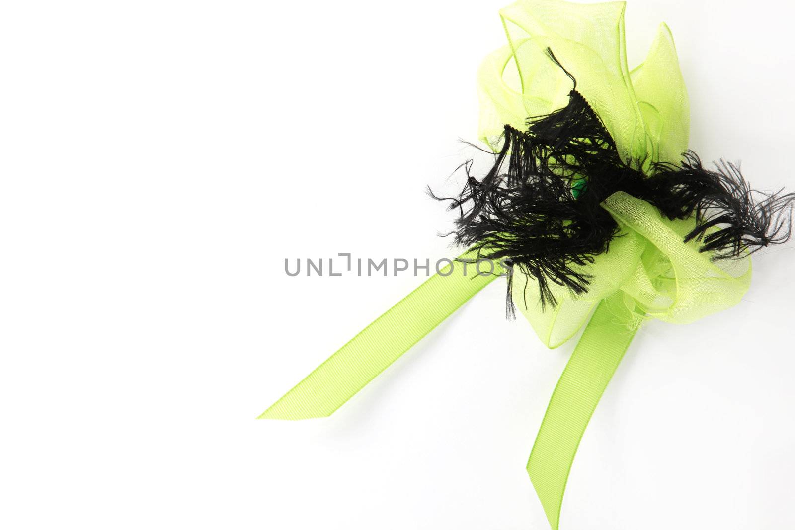 Green Gift looping right side on a white background