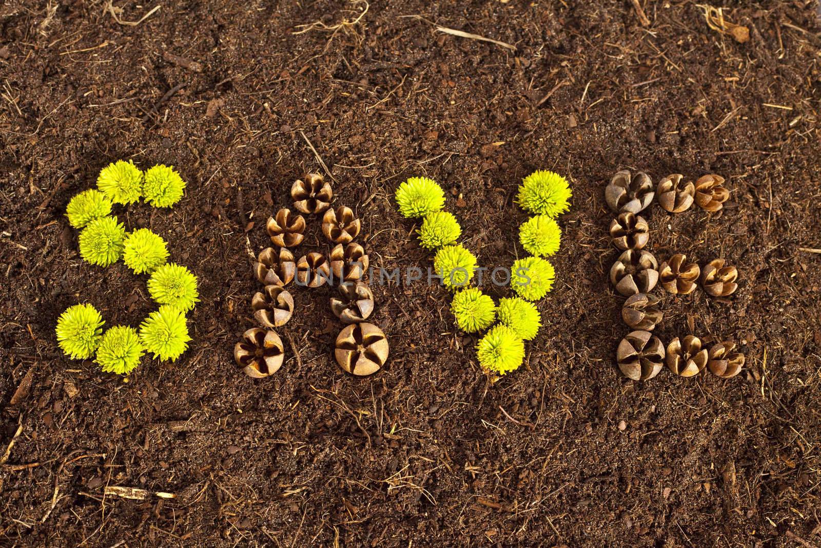 Environmental Save written in flowers and shells on soil.