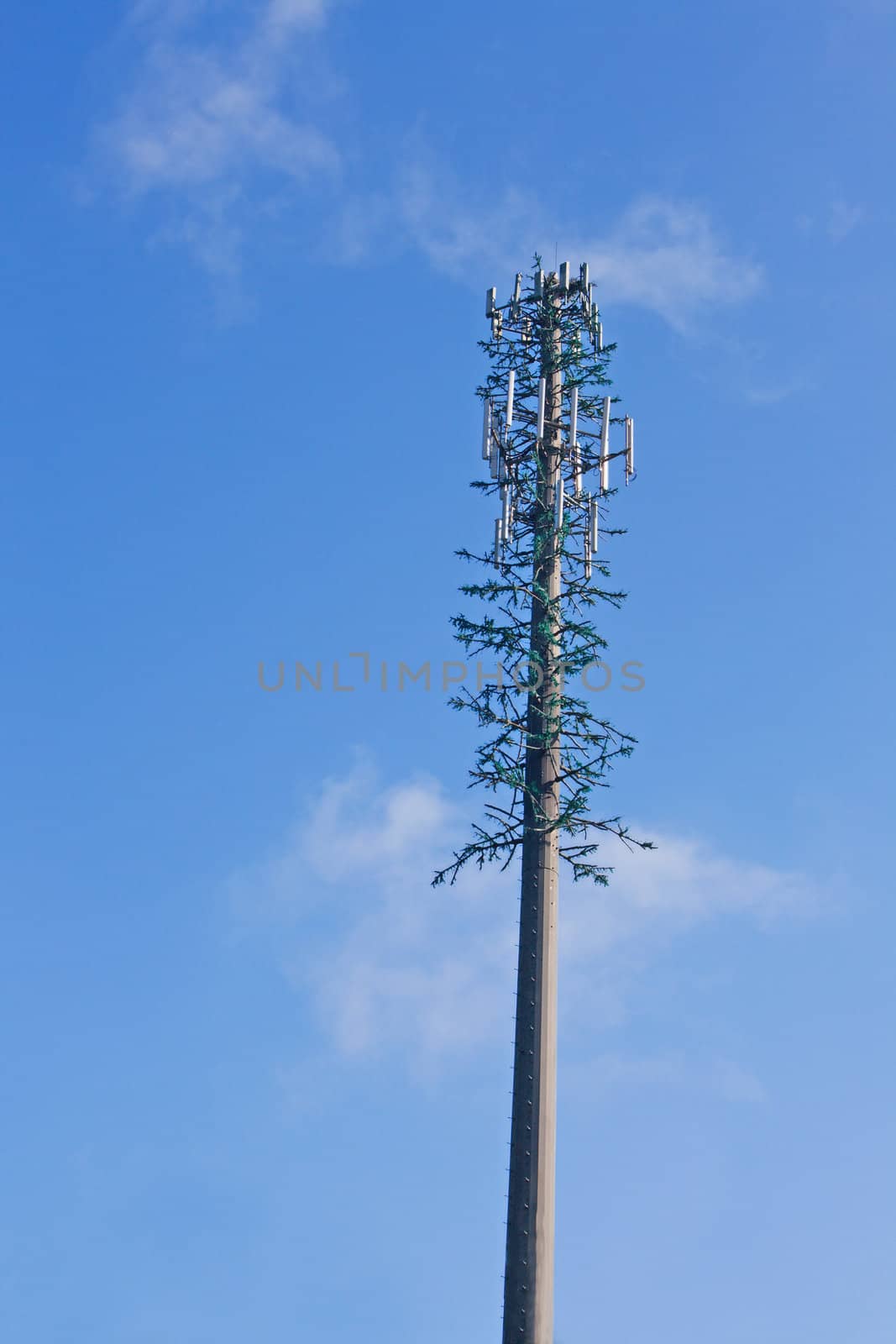 modern, semi-hidden cell phone tower posing as a tree