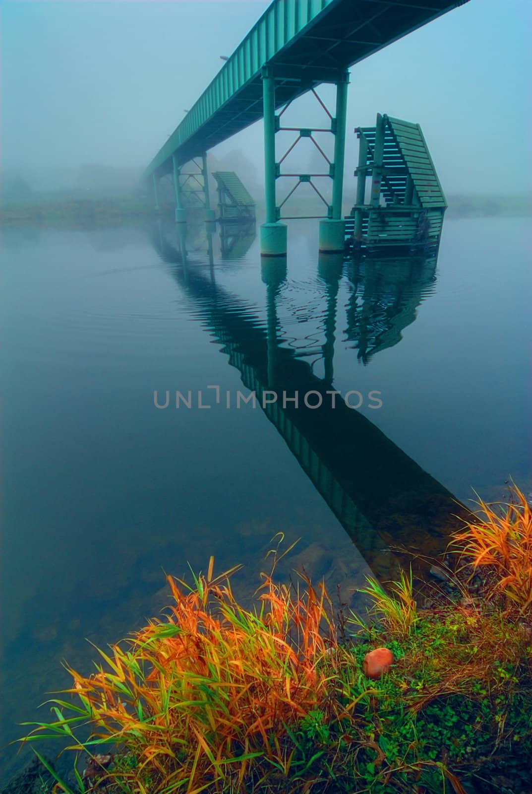 The bridge through the river. Foggy morning.