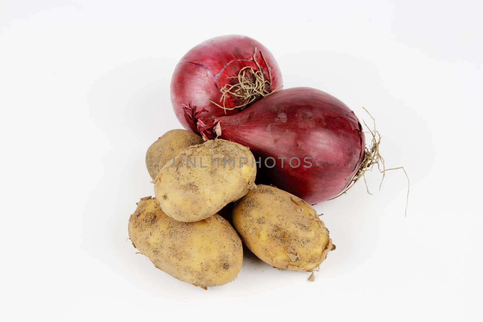 Two raw unpeeled red onions on a reflective white backgrounds