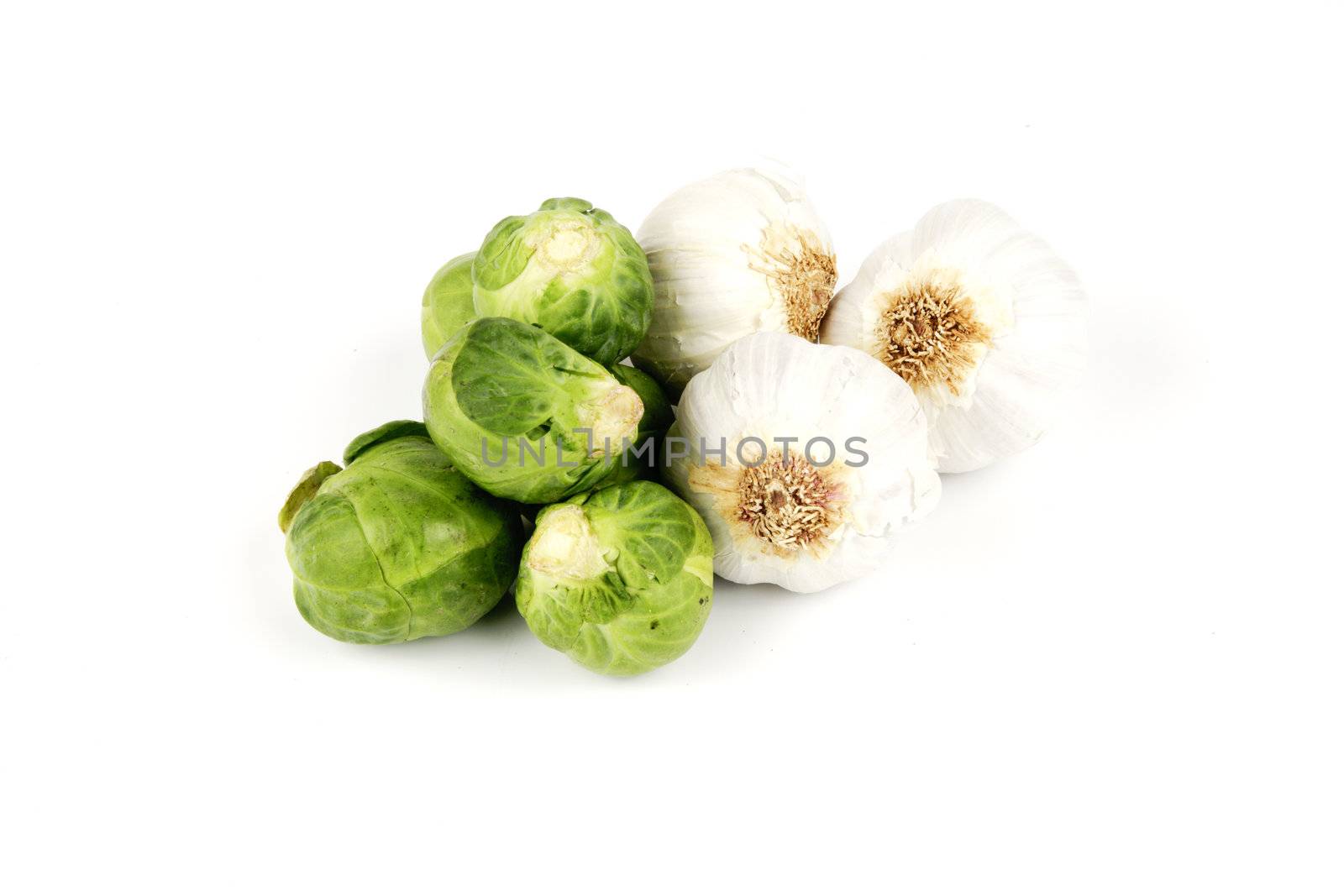 White raw garlic bulbs with green raw sprouts on a reflective white background