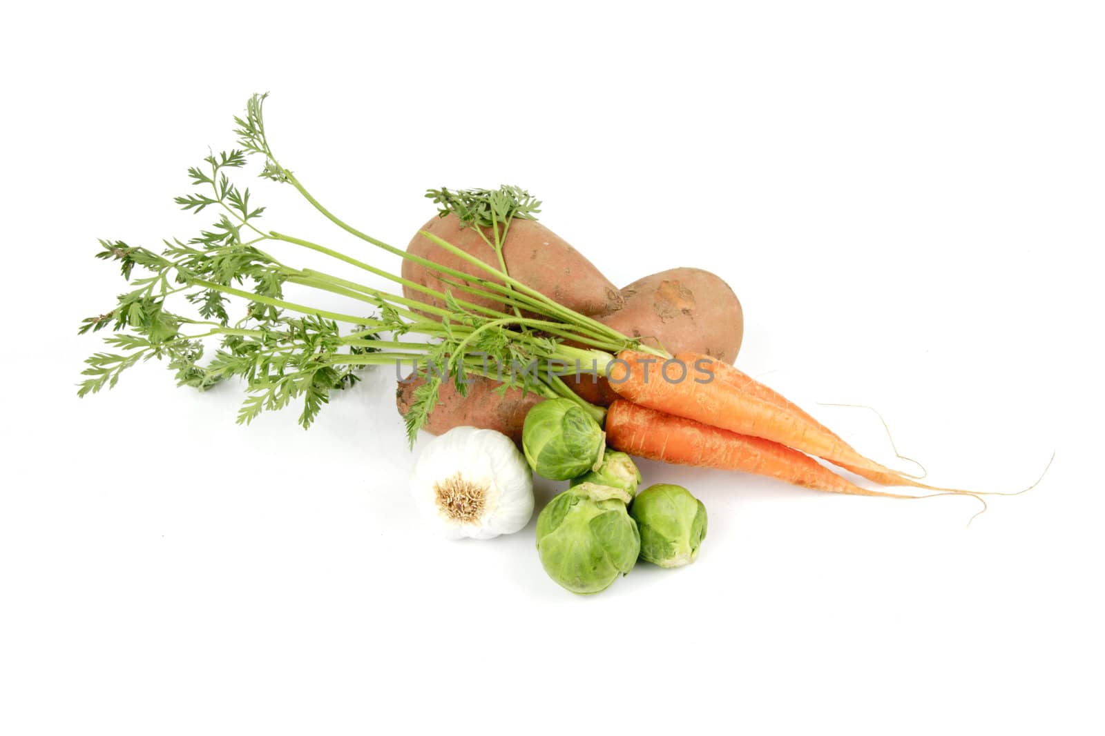 Two pink sweet potatoes with a garlic bulb, carrots and green sprouts on a reflective white background