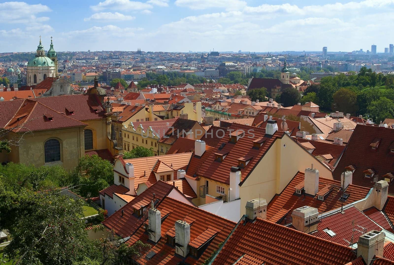 Prague. A city landscape with a roofs