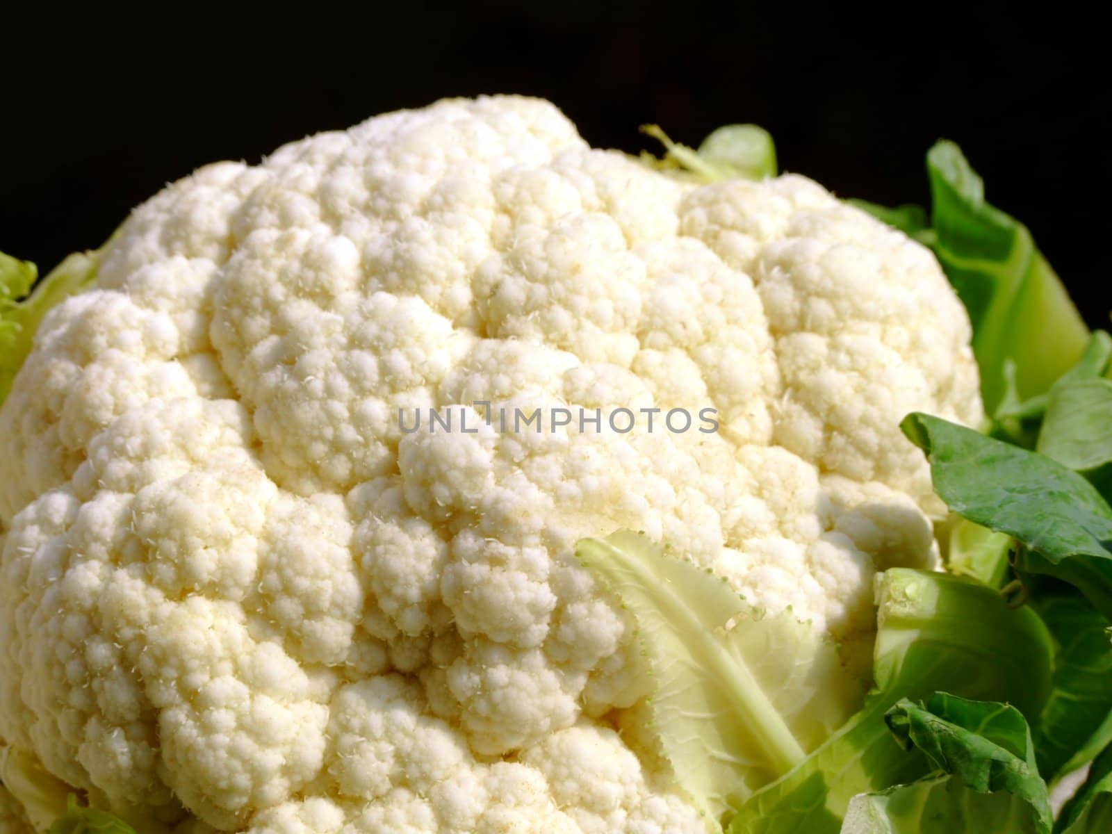 Close-up of a cauliflower on a black background