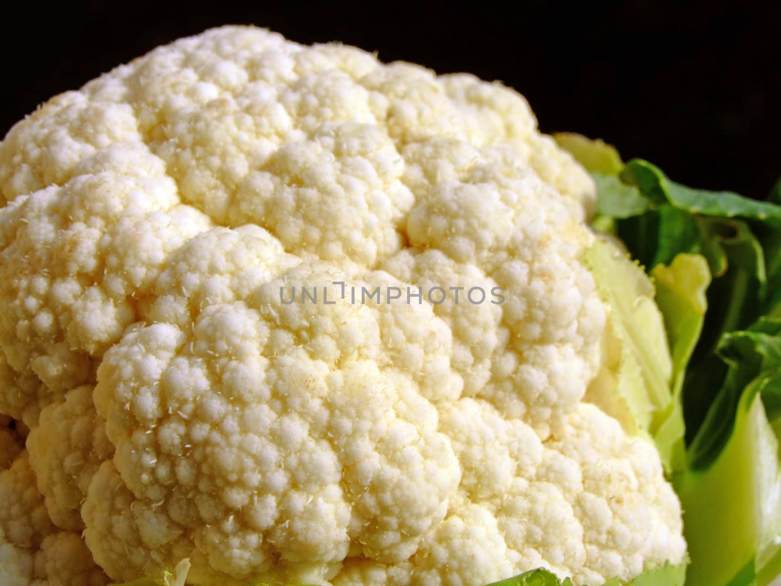Close-up of a cauliflower on a black background