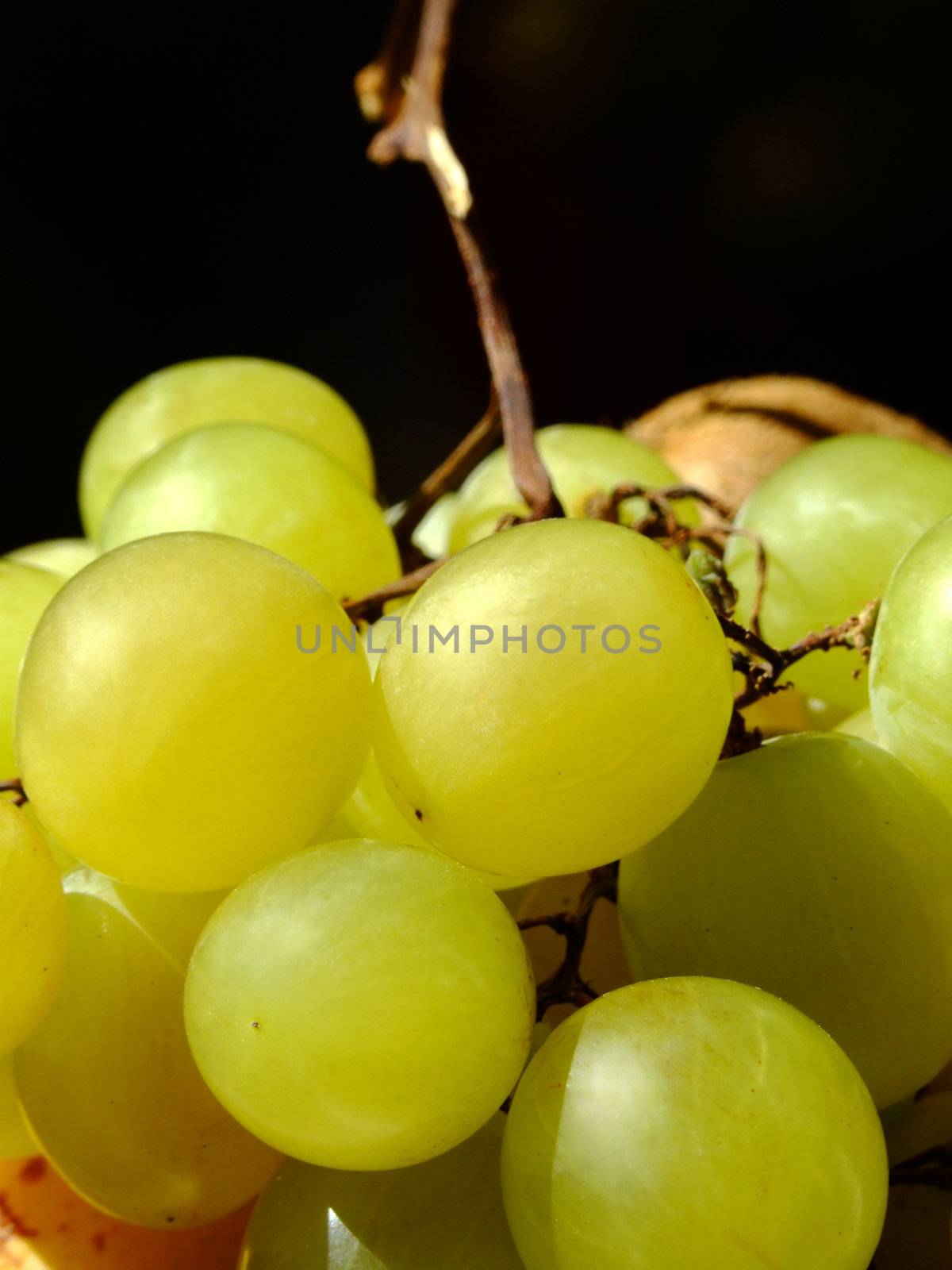 Close-up of white grapes