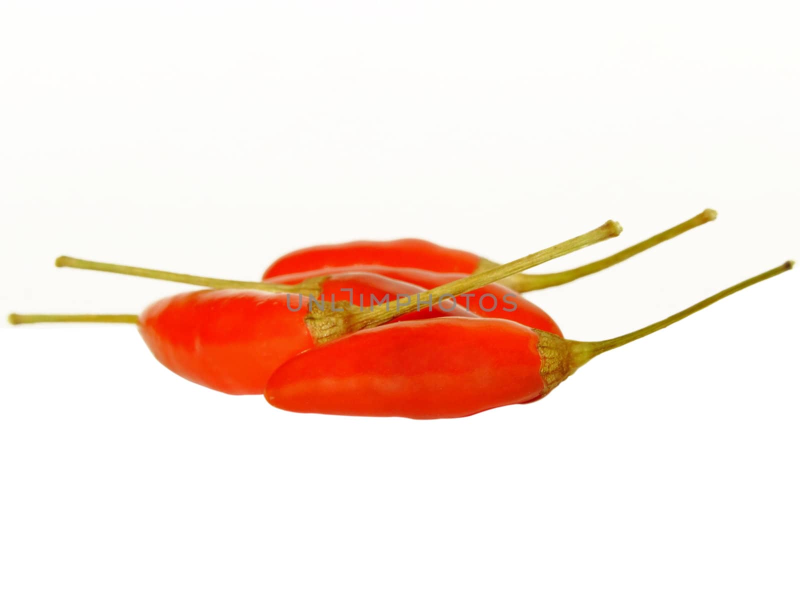 Some small red hot chili peppers