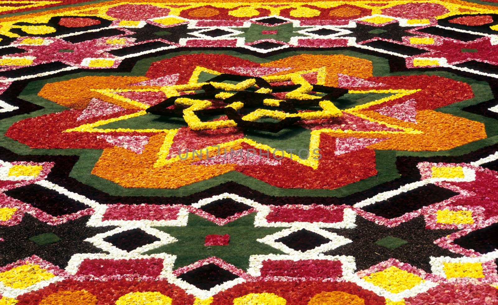 The Brussels flower carpet is designed of Begonias every second year in the central square - Grand Place. This year's theme was the kaledoscope.