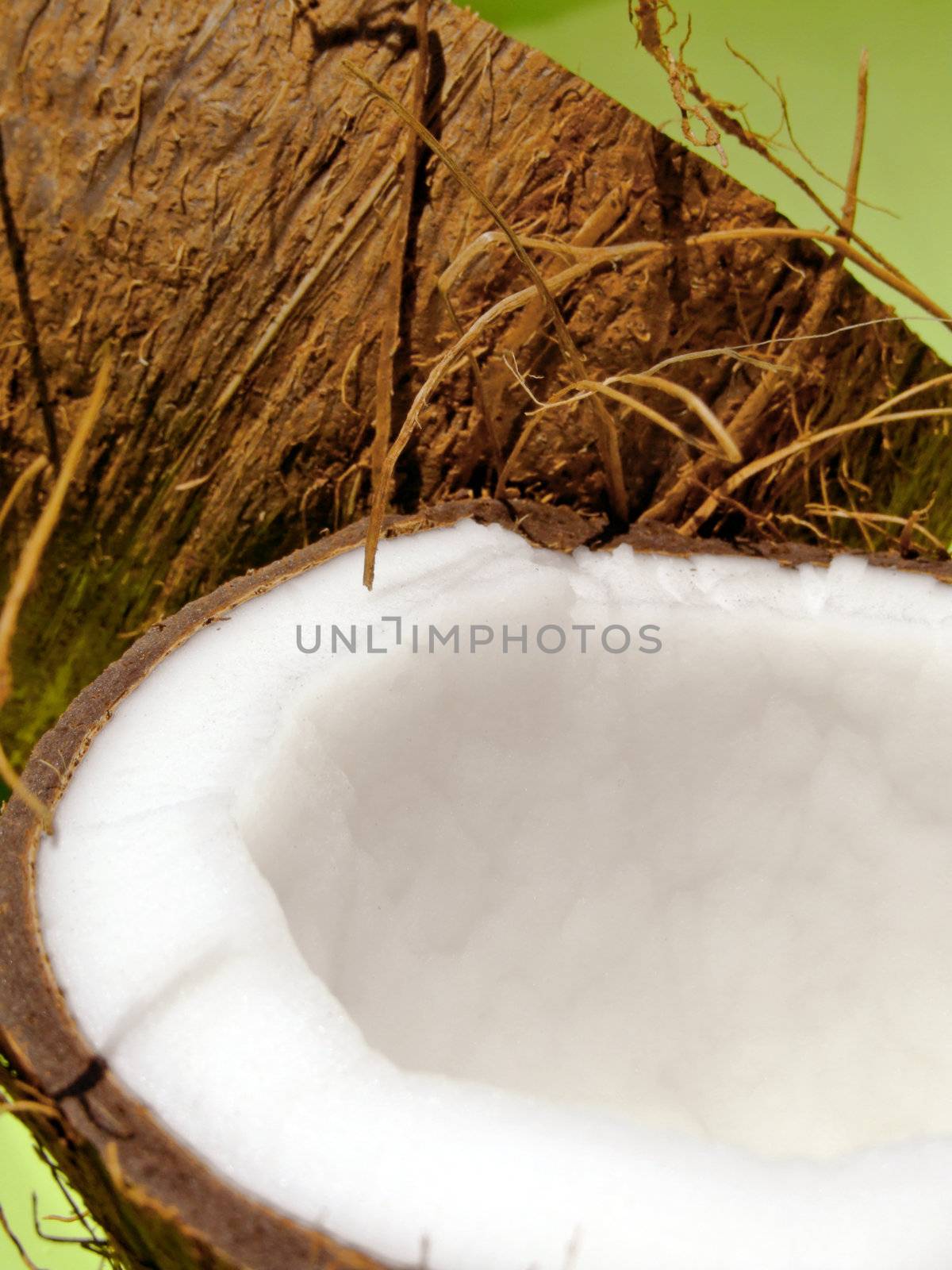 Close-up of an opened coconut fruit over a green background