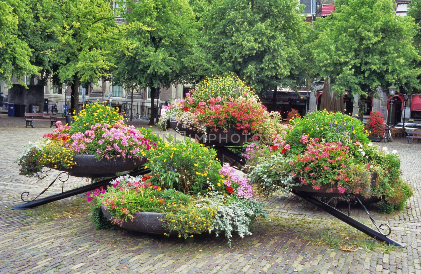 Multi-coloured spring flowers bloom in a square in Den Haag, the Netherlands.