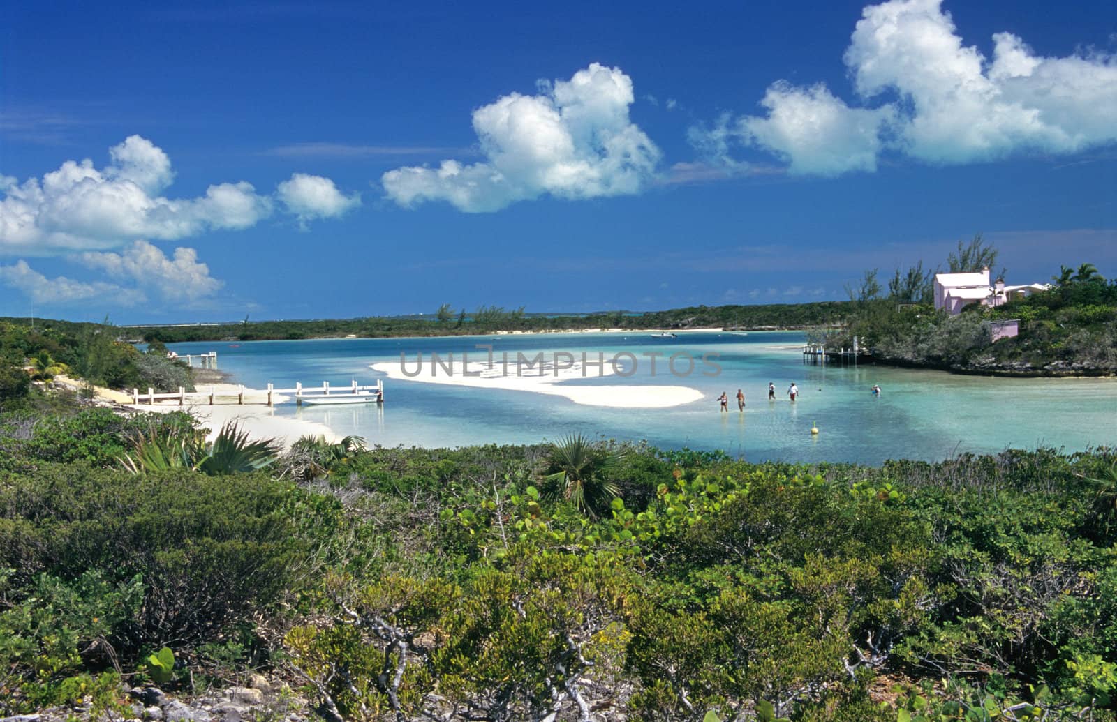 Five people wade through the tourquoise waters of an island in the Bahamas.