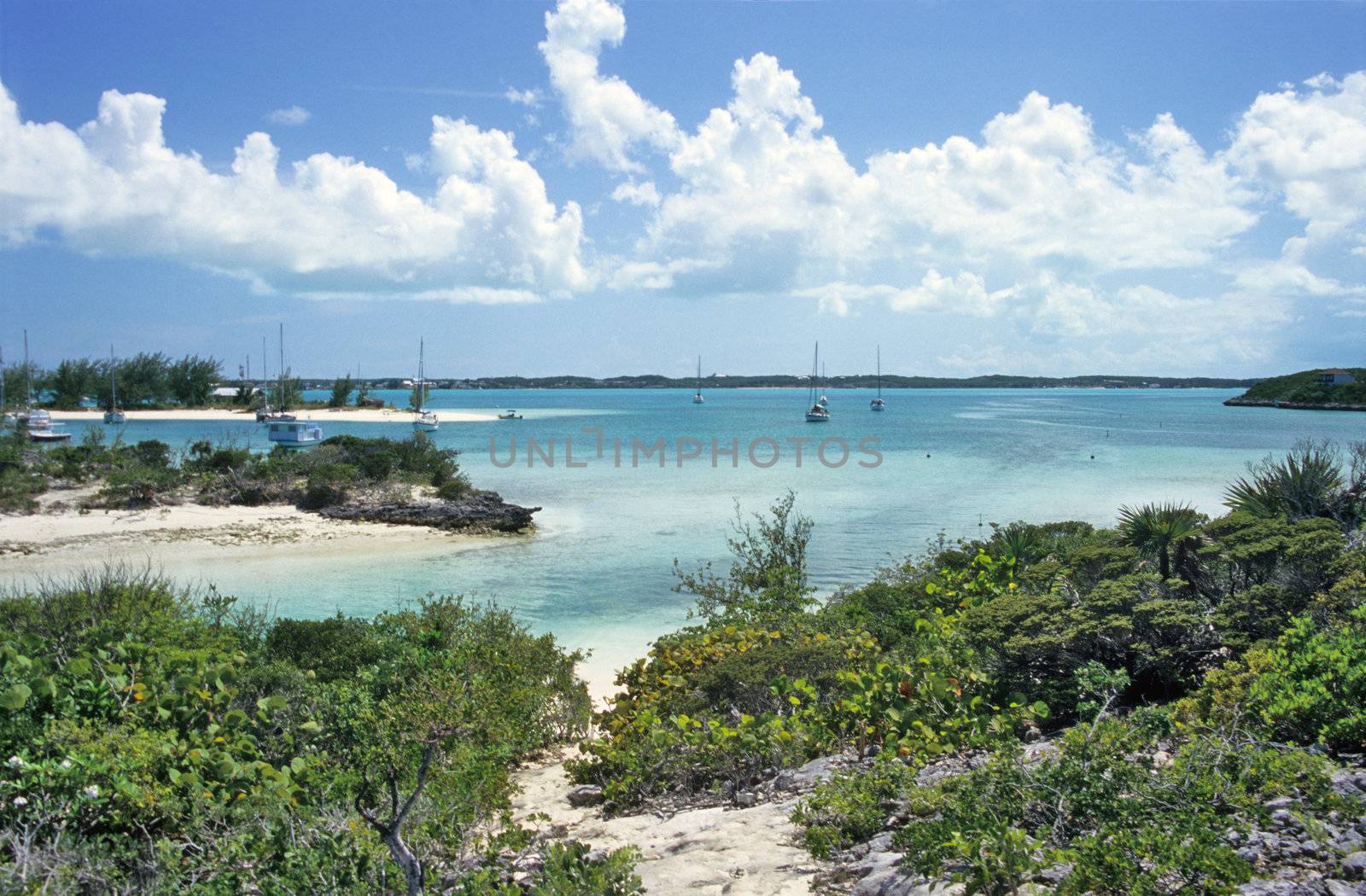 Sail boats float moored in a tropical harbour off Stocking Island in the Bahamas.

