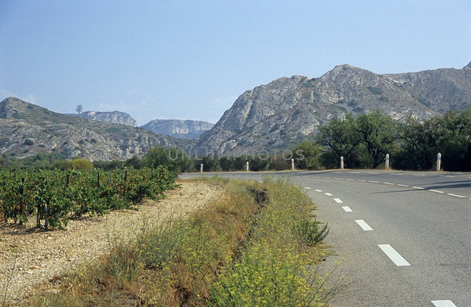 A scenic road through the vineyards of the Alpilles, or small Alps, Provence, South of France. 