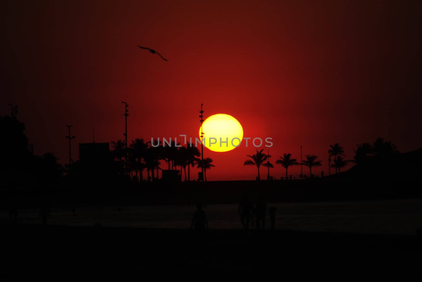 Sunrise in Rio de Janeiro, Ipanema beach and  Arpoador  by mangostock