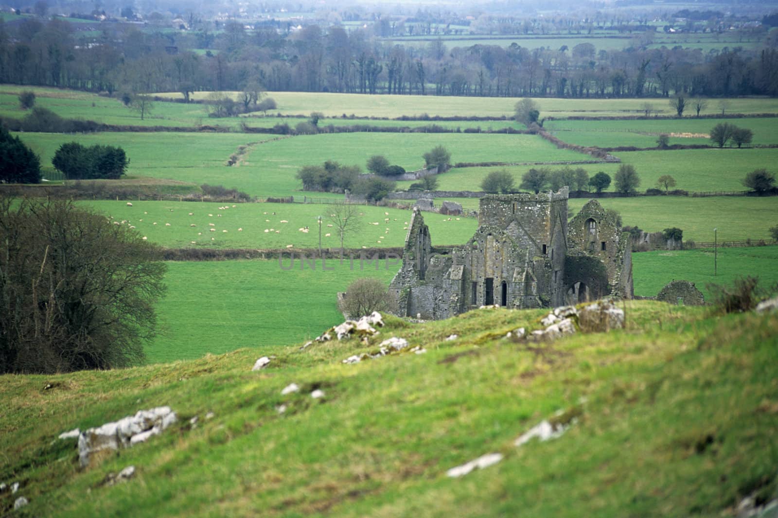 Ruin of an abbey near the Rock of Cashel, Co. Tipperary, Ireland
