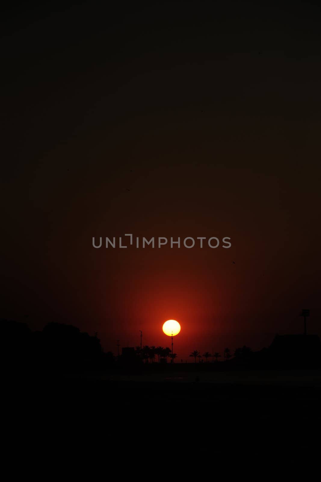 Sunrise in Rio de Janeiro, Ipanema beach and  Arpoador  by mangostock