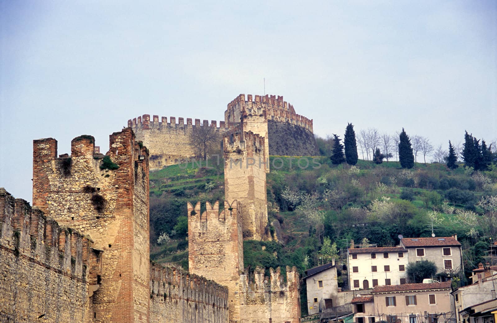 The walled city of Soave is a small comune of the Veneto region in the Province of Verona, Italy famous for its wine.