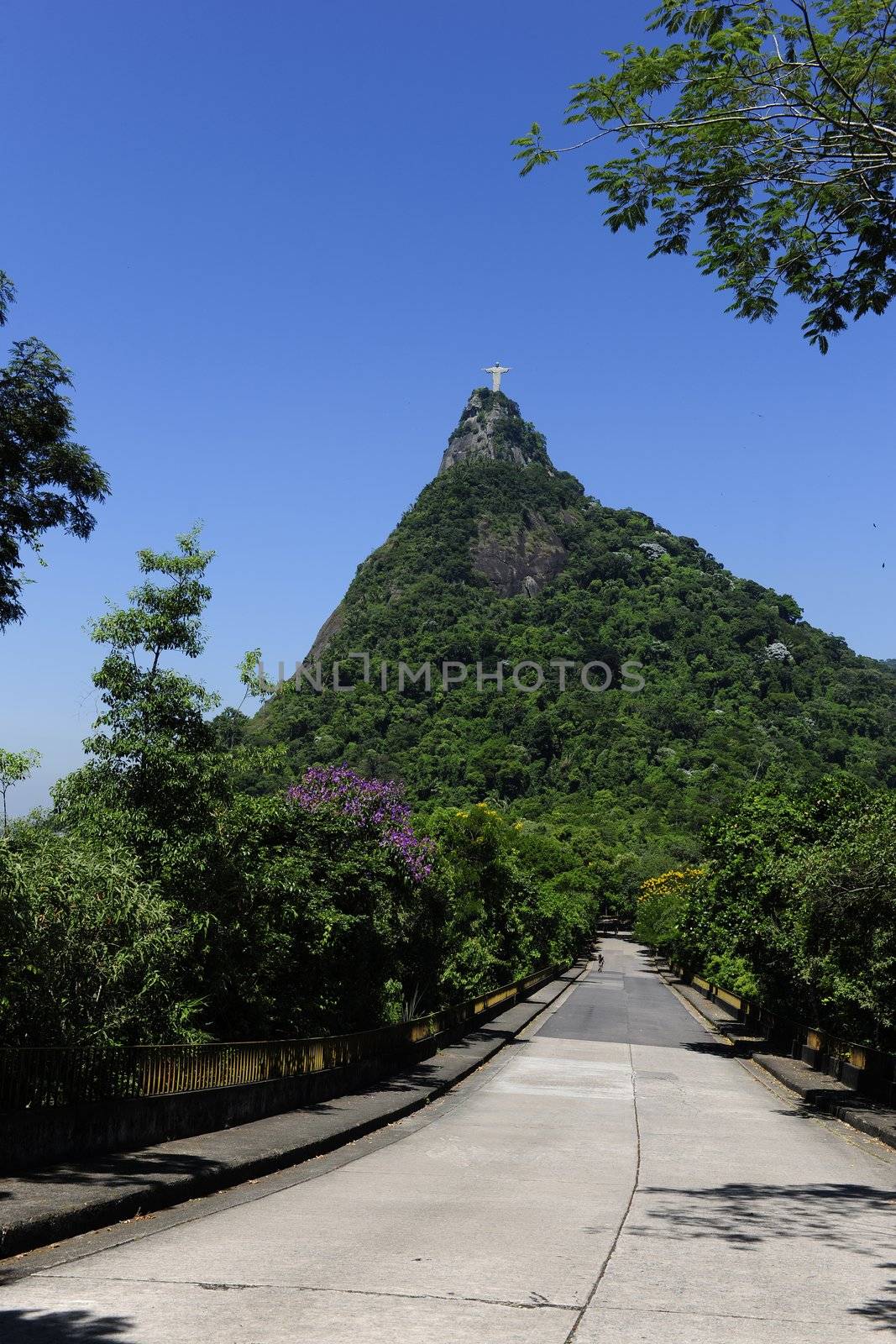 Road leading to Corcovado Mountain with Christ Redeemer Statue, Rio de Janeiro, Brazil