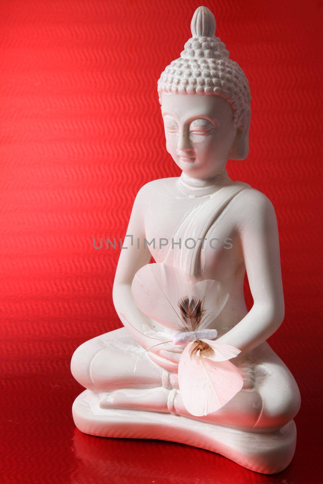 buddha figure against a red background with a butterfly