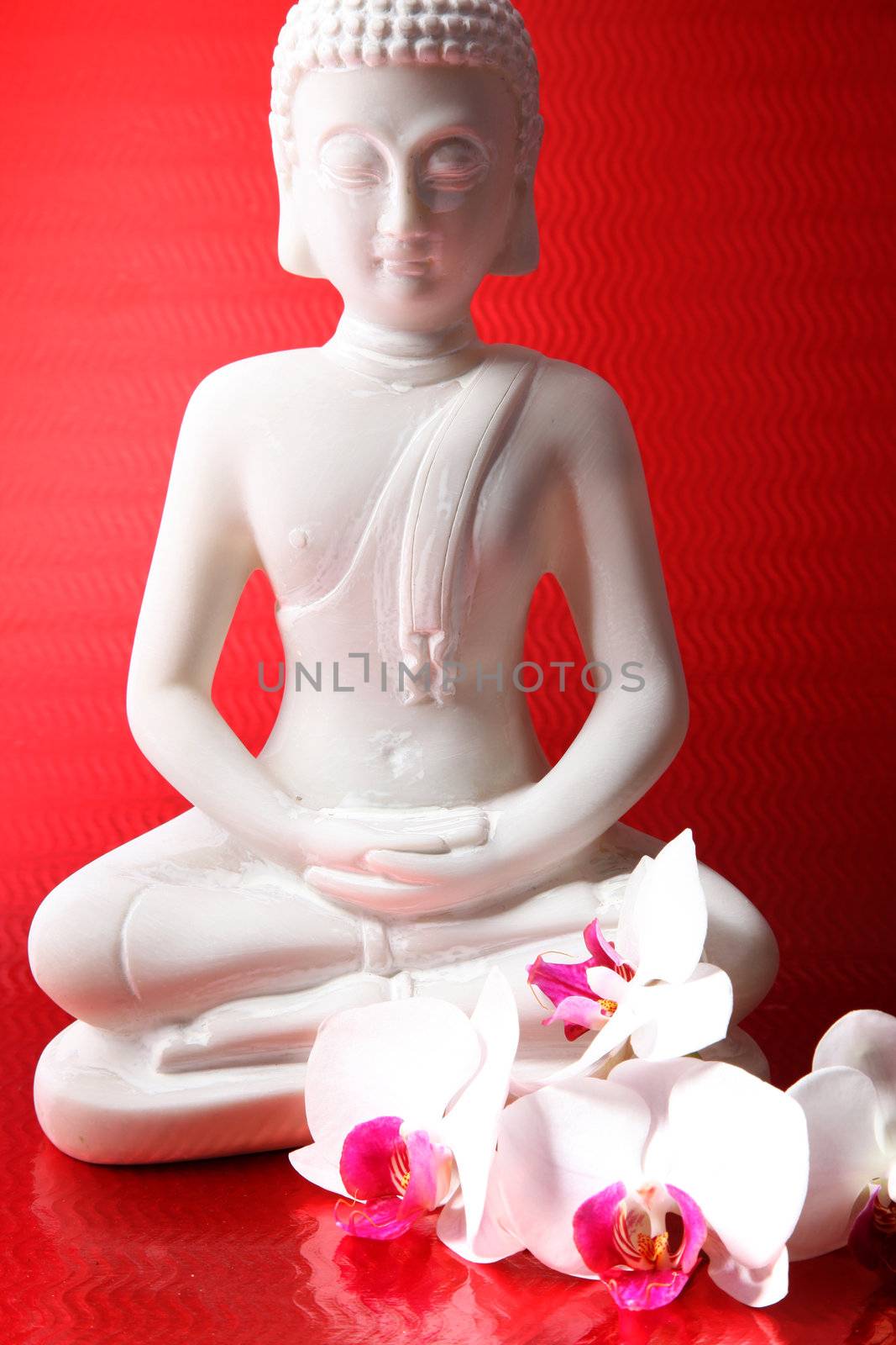 buddha figure against a red background with a Orichdee