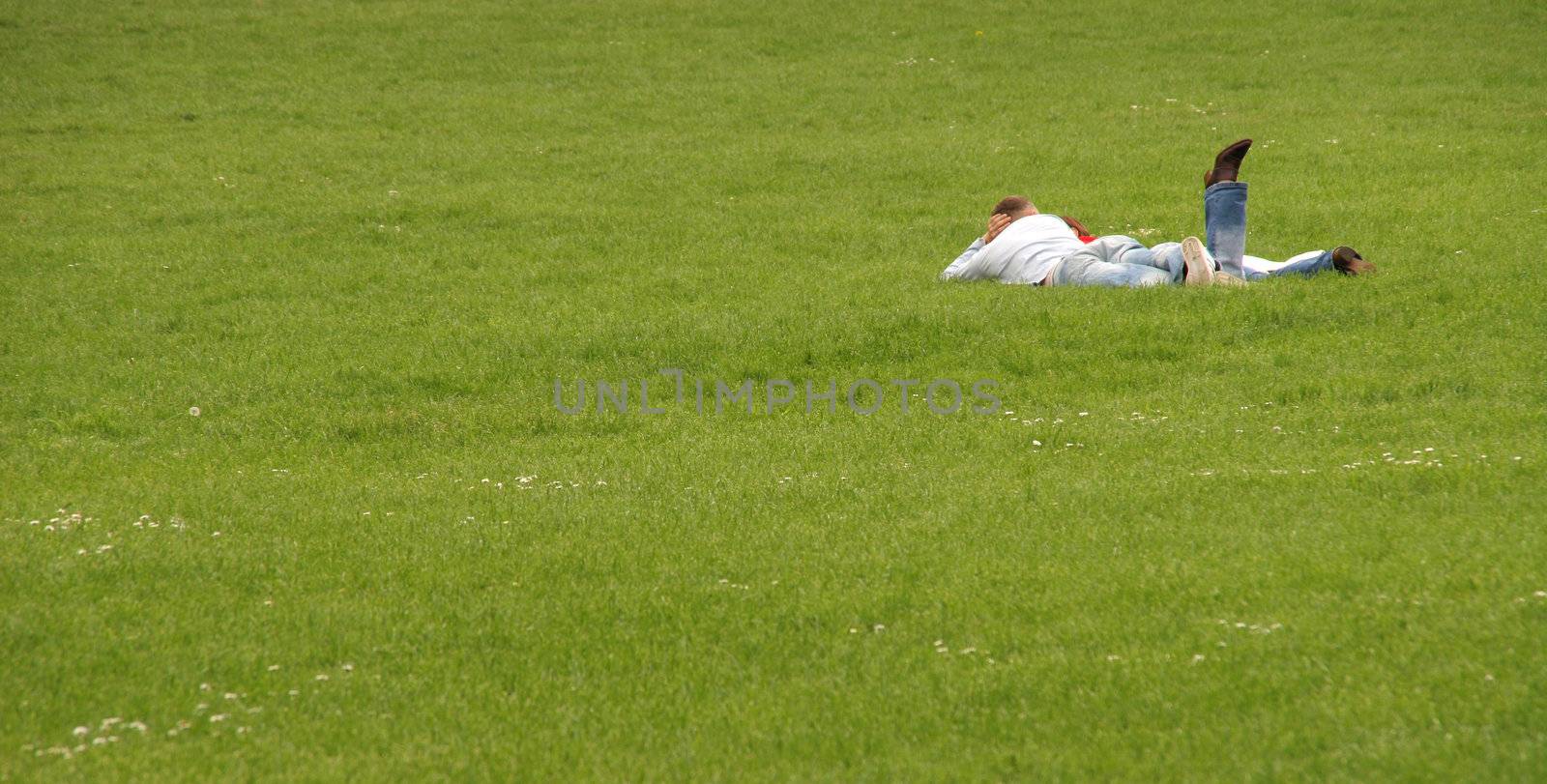 Loving couple lying on the grass