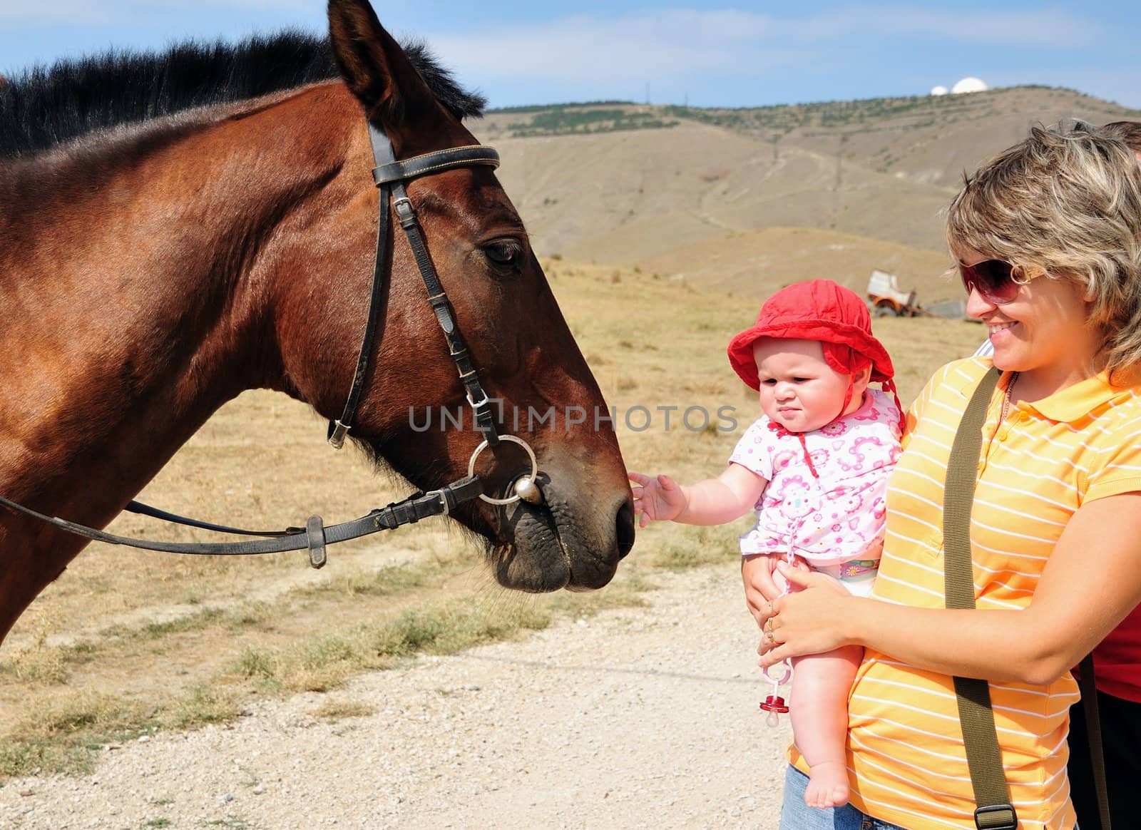 mother habituating her little daughter with horse
