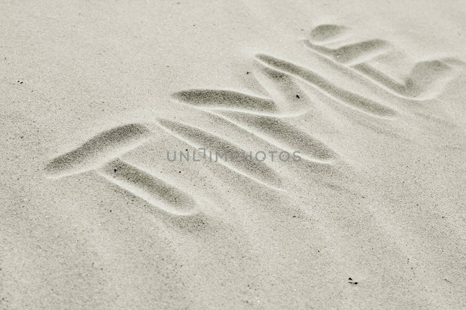 symbolic letters drawed in dune sand