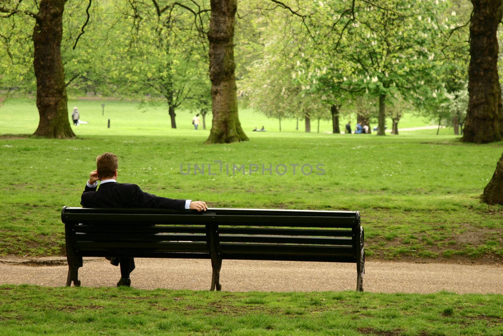 businessman sitting on bench in Green Park, London